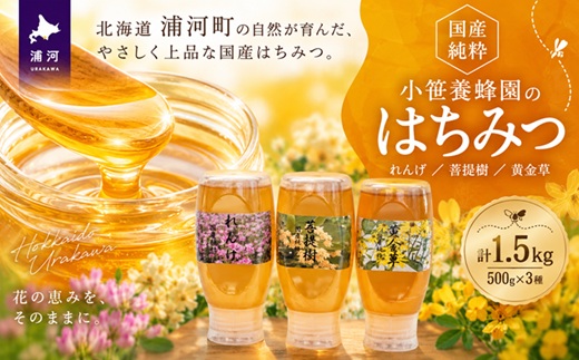 国産純粋完熟はちみつ3種セット(れんげ･菩提樹･黄金草)ご家庭用計1.5kg[16-1158]