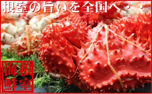 B-57017 【北海道根室産】花咲ガニ410～500g×3尾