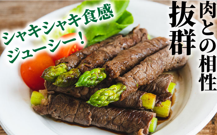 【3回定期便】【星のアスパラ】春・夏 の グリーン アスパラガス 約1kg / アスパラ 野菜 / 南島原市 / ほしのYA [SEY016]