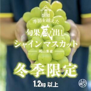 【旬果蔵出し】岡山県産 シャインマスカット 1.2kg以上（2～3房）＜2025年12月上旬～2026年1月下旬発送＞
