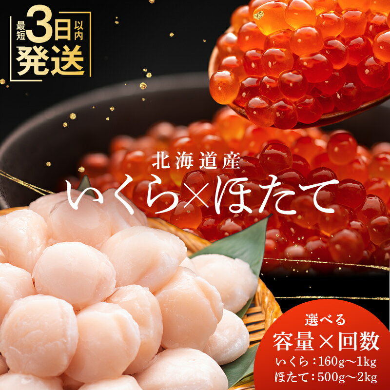 笹谷商店　北海道産いくら醤油漬け250g＆北海道産ほたて貝柱500g　