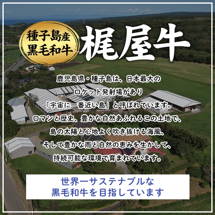 n375 種子島産黒毛和牛！梶屋牛冷凍生ハンバーグ(10個) 黒毛和牛 牛肉 国産 九州産 鹿児島県産 肉 ビーフ ハンバーグ 冷凍 小分け 簡単調理 天然飼料 サステナブル 和牛 お祝い 【株式会社