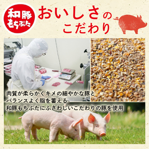 豚  和豚 もちぶた きりおとし  4kg 【スピード発送】　[切落し 切り落し きりおとし 国産 豚肉 ］ katayama006