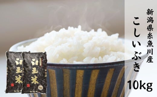 【令和7年産】新潟県産こしいぶき『臼玉米』10kg 2025年産 木島米穀店【新潟県 糸魚川市 米 お米 白米 こめ コメ コシイブキ ご飯 ライス ふるさと納税米 お弁当 おにぎり 10キロ 精米 食品 新潟県 糸魚川産 2025年産 食品 人気 おすすめ】