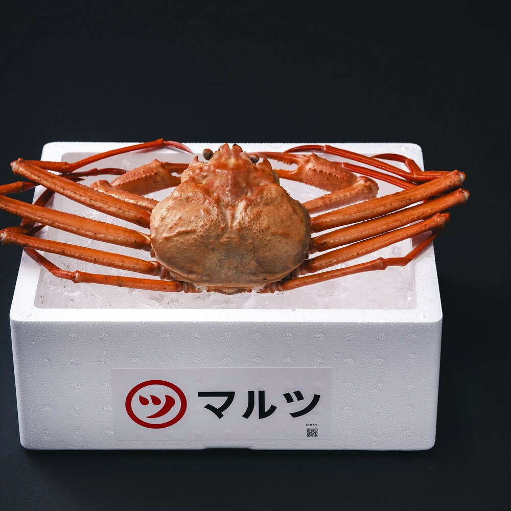 【ふるさと納税】ふるさと納税 定期便 蟹 境港産 松葉ガニ 紅ズワイガニ 旬 厳選 鳥取県産 【鳥取県 境港市】 | 蟹 魚介類 水産 食品