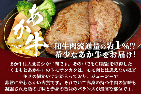 【GI認証】くまもとあか牛 トモサンカク 120g×4枚【合計 480g】熊本県産 ブランド くまもと あか牛 和牛 極上 希少 牛肉 ロース ステーキ 赤身 肉 熊本 クリスマス