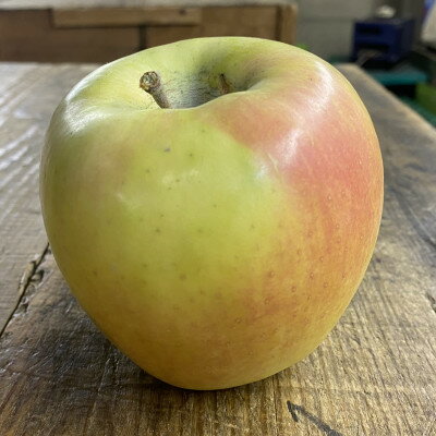 【ふるさと納税】人気沸騰中　名月　訳あり品　5kg(13個～23個)【2026年11月より順次発送】【配送不可地域：離島】【1492331】