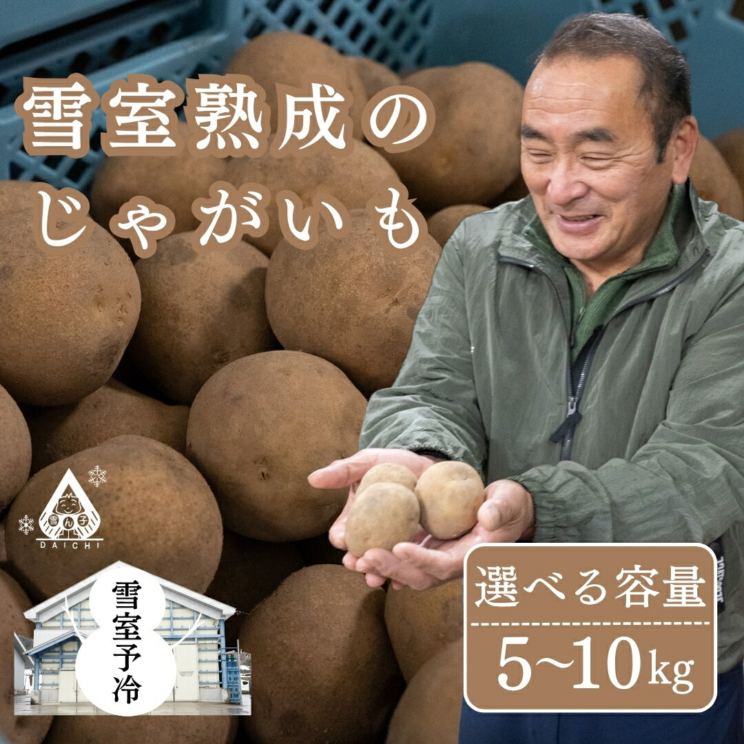 【ふるさと納税】雪室熟成のじゃがいも 選べる容量 5kg or 10kg | じゃがいも じゃが芋 ジャガイモ 芋 いも イモ 国産 新鮮 旬 産地直送 津南町 有限会社大地