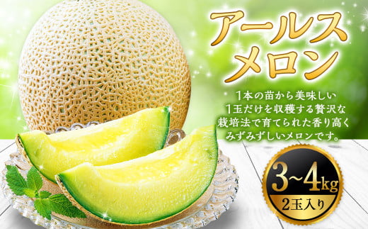 アールスメロン 2玉（3kg～4kg） 山形県産 【2025年9月順次発送予定】
