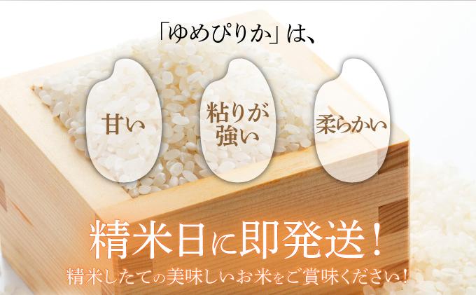 令和7年産 《9月20日発送開始》ゆめぴりか精米 2kg 生産者直送 北海道伊達産 | 北海道のブランド米 もっちり食感 冷めても美味しい 2kg