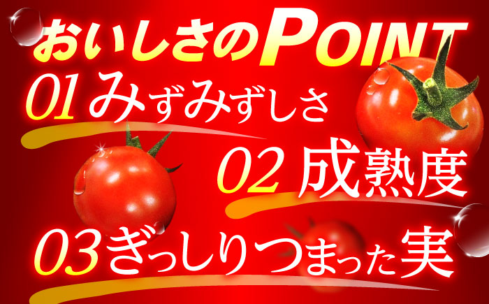 愛果菜ミニトマト9P×2セット / ミニトマト プチトマト トマト とまと 野菜 / 諫早市 / 愛菜ファーム株式会社  [AHAK002]