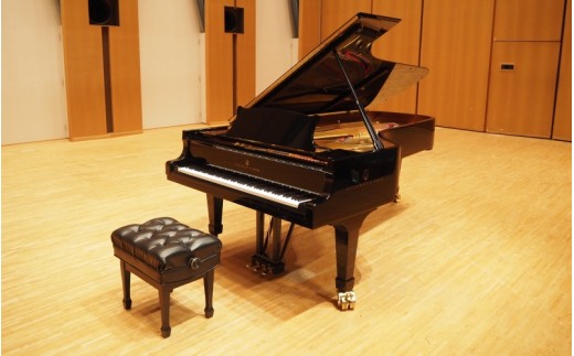 真庭市エスパスホール貸切 スタインウェイピアノ演奏 3時間 利用チケット 体験チケット 持込楽器可 / ホール貸切 ピアノ演奏 演奏 真庭市