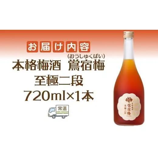 合同酒精 本格梅酒 鴬宿梅 おうしゅくばい 至極二段 720ml 梅酒 果実酒 フルーツ酒 ロック ソーダ割り 水割り 鶯宿 奈良県産 国産梅 フレッシュ 熟成 甘い 爽快感 お酒 酒 アルコール 飲