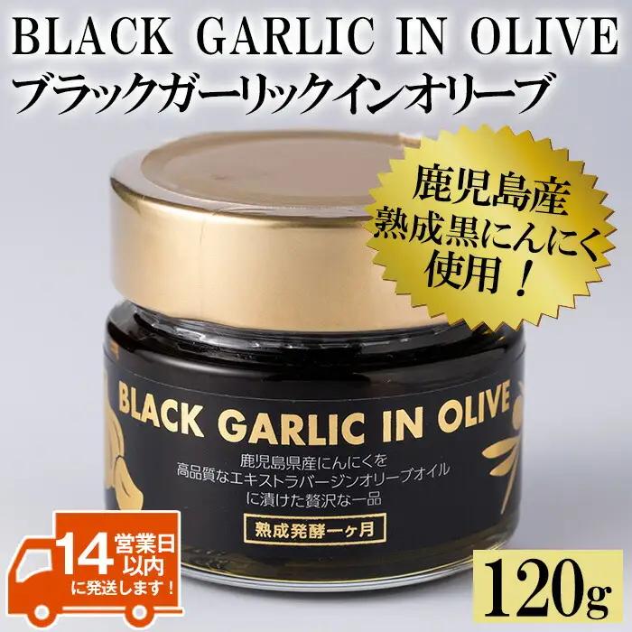 No.367 ＜BLACK GARLIC IN OLIVE＞ブラックガーリックインオリーブ(120g×1本・固形60g) ニンニク にんにく 黒にんにく 油 オリーブ 調味料【鹿児島オリーブ】