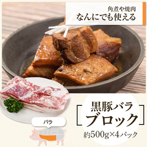 【B02102】鹿児島県産黒豚バラブロック(計約2kg) 黒豚焼豚(約200g×2個) 鹿児島 国産 九州産 黒豚 豚肉 お肉 焼豚 叉焼 チャーシュー 肉加工品 豚バラ バラ肉 ブロック 贈答 ギフ