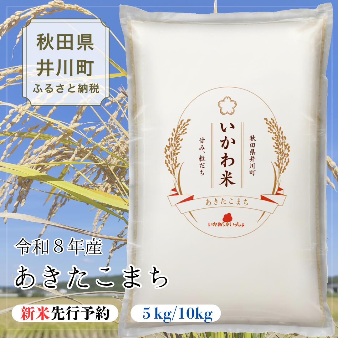 【ふるさと納税】令和8年産 新米 あきたこまち 5kg 10kg 【先行予約】 米 お米 精米 白米 秋田県 井川町