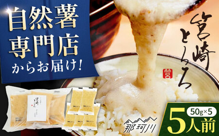 筥崎とろろ 自然薯のだしわりとろろ 計250g（5食セット × 50g) 冷凍 個包装 無添加 ＜株式会社九千部＞ 那珂川市[GAZ002]