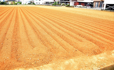静岡県浜松市産 訳あり 三方原馬鈴薯 5kg 男爵 じゃがいも じゃが芋 ジャガイモ 国産 野菜 浜松市