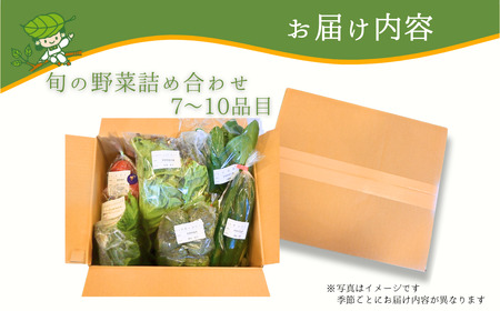 【3ヶ月定期便】新鮮野菜の産直 7～10品目 野菜
