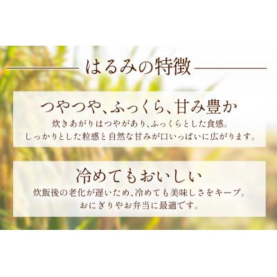 ふるさと納税 伊勢原市 【発送月固定定期便】11月下旬から出荷予定　合計30kg 精米 はるみ5kg全6回 |  | 01