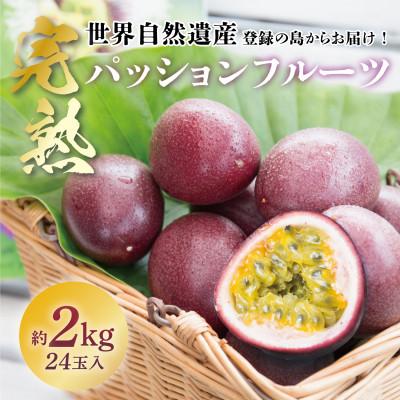 ふるさと納税 奄美市 《奄美大島産パッションフルーツ》バラ詰め約2kg(24玉入り)