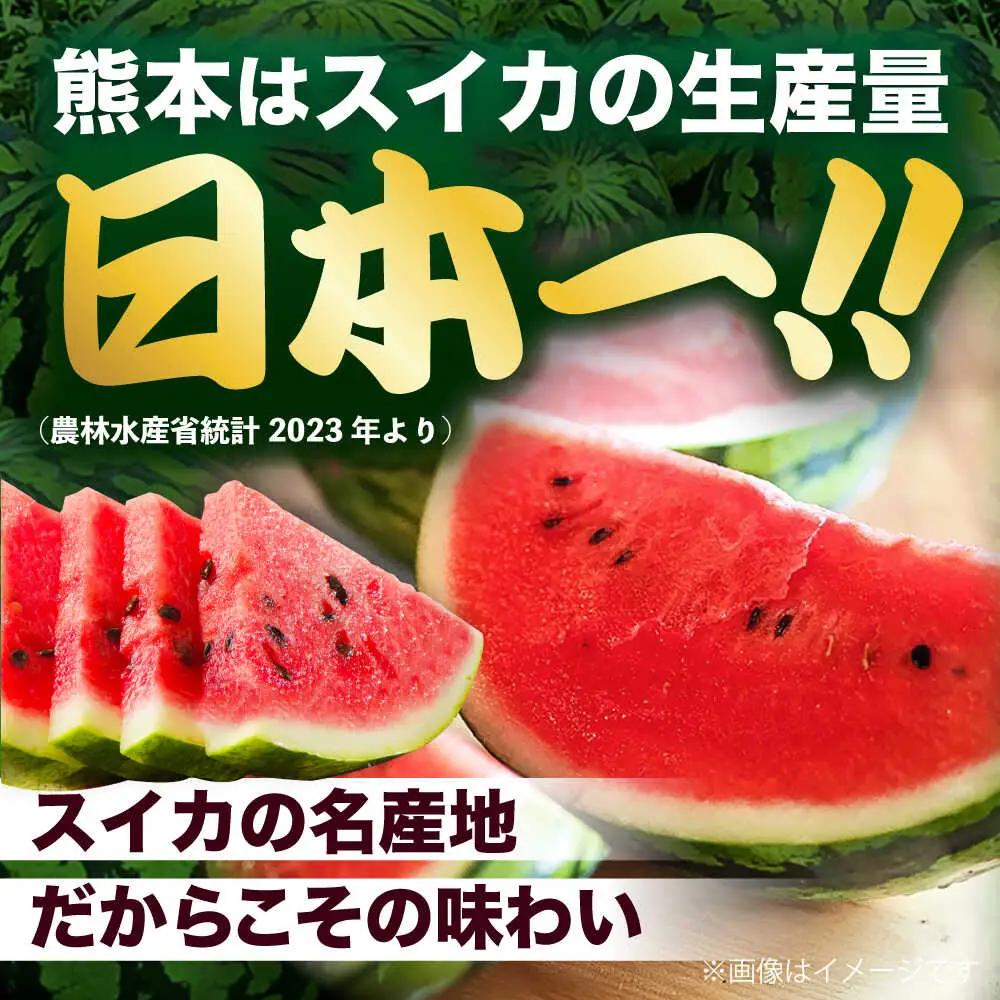 令和8年熊本地震復興支援 先行予約2027年5月下旬より発送 大玉スイカ秀品1玉約6~9kg数量限定スイカすいかAYAT006