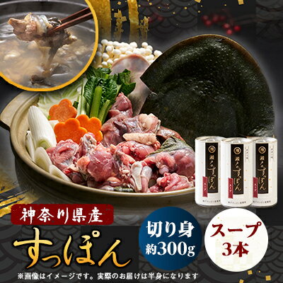【ふるさと納税】神奈川県産すっぽん鍋(2～3人前)300g&スープ3本(各180g)セット【配送不可地域：離島】【1361073】