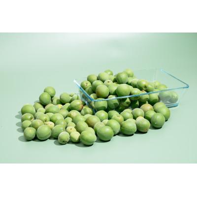 ふるさと納税 下妻市 【訳あり】下妻産 手摘み青梅3kg+傷み保証分500g サイズ不揃い・キズあり |  | 01