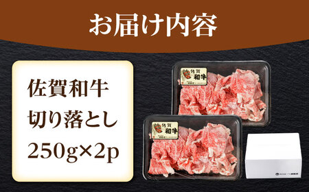 佐賀和牛 切り落とし 計500g(250g×2p)【一ノ瀬畜産】[NAC030]