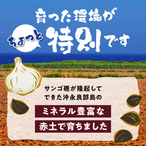 熟成 黒ニンニク（沖永良部産）化粧箱入り 200ｇ 2パック （ 計400g ） C055-003 野菜 にんにく 無農薬 ミネラル おためし 安心 熟成 伊藤末隆 ふるさと納税 知名町 おすすめ ラ