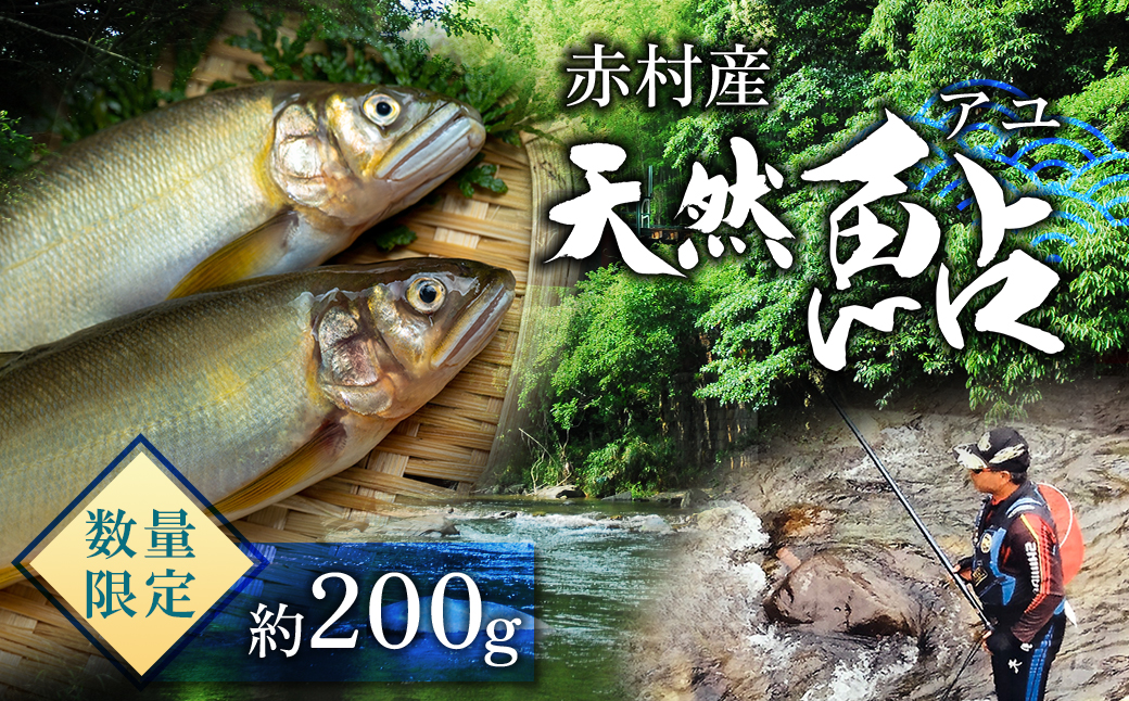 冷凍鮎　約200g 3E3