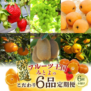 【ふるさと納税】【配送不可地域：北海道・沖縄県・離島】フルーツ王国 みとよ 特選 こだわり 6品 定期便 定期 旬の時期 旬 果物 フルーツ 果実 旬 デザート 食べごろ みかん いちご びわ マスカット キウイ キウイフルーツ お取り寄せ 香川県 三豊市 送料無料