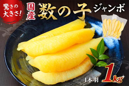  国産　塩数の子ジャンボ(北海道産）　1本羽　1kg　小分け(500g×2袋） mi0012-0070 海鮮 魚卵 魚介 おせち 正月 ﾆｼﾝ ｶｽﾞﾉｺ