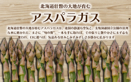 【2026年予約】朝採りグリーンアスパラ（春芽）M-L混合 約1kg 北海道壮瞥町産 SBTAJ032