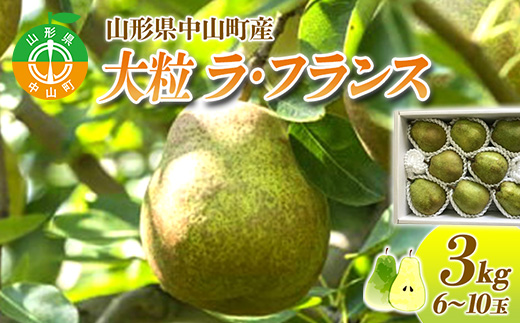 【2026年先行予約】山形県中山町産 大粒「ラ・フランス」3kg(6～10玉) 特秀品 期間限定 数量限定 山形県産 フルーツ くだもの 果物 ラフランス ナシ 梨 洋なし 洋梨 F4A-0109