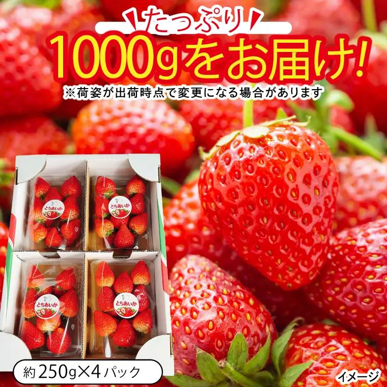 【先行予約】栃木県産 とちあいか 合計1,000g (250g以上×4パック) 【栃木県共通返礼品/高根沢町産】(DW001)