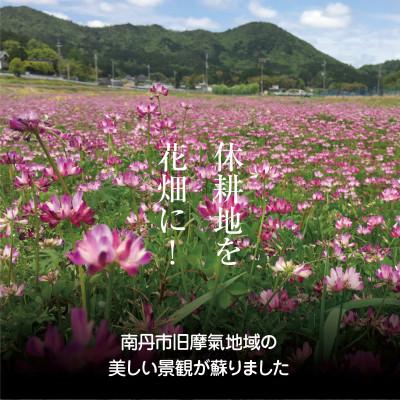 ふるさと納税 南丹市 摩氣蜜 100g+200gセット |  | 01