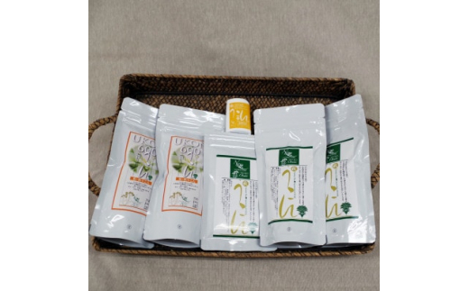 ＜秋ウコンお薦め6個セット＞粒ウコン・粉ウコンのセット【1304093】