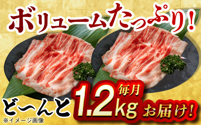 肉 豚 ぶた ブタ 豚バラ しゃぶしゃぶ 小分け 西海市 長崎 九州 定期便