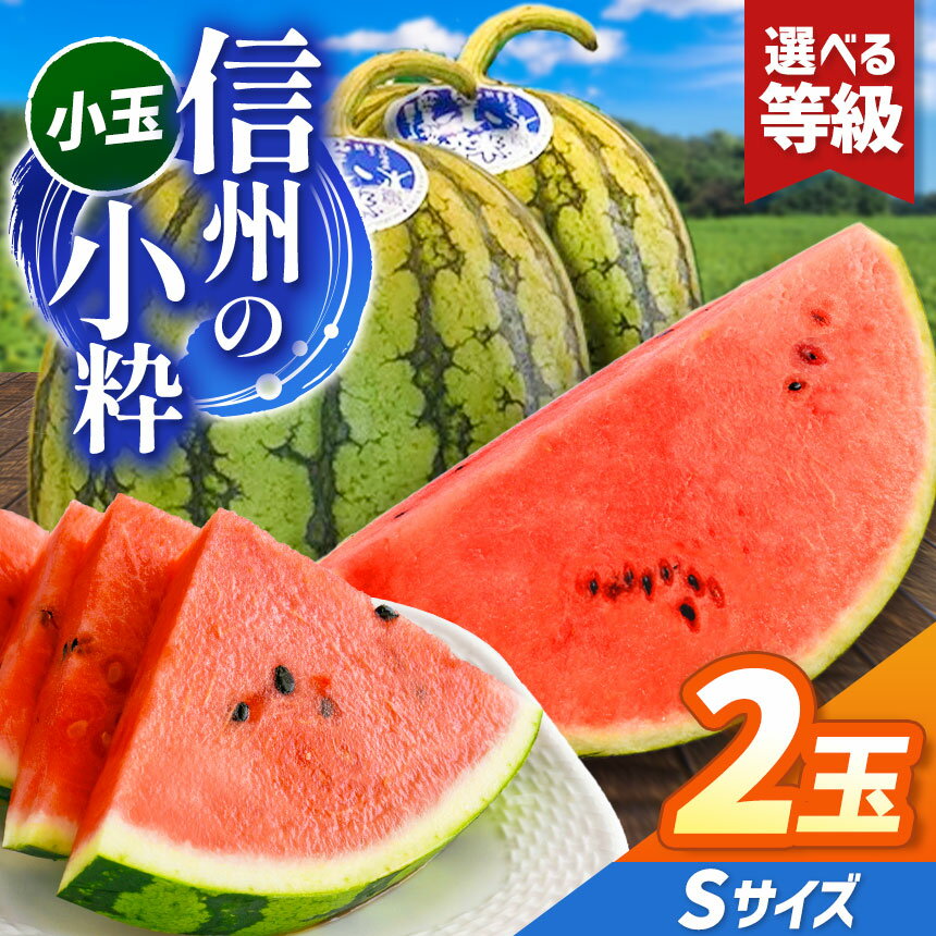 【ふるさと納税】先行予約【選べる】信州波田産 小玉スイカ！信州の小粋 2玉 Sサイズ｜ふるさと納税 長野県 信州 松本 果物 フルーツ 小玉 すいか スイカ 西瓜 贈答 特選 季節限定 甘い くだもの ふるーつ