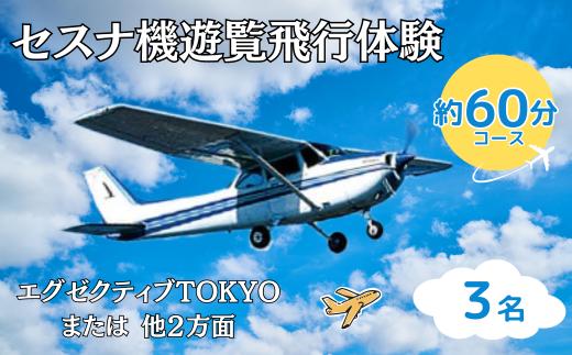 ＜3名＞セスナ機遊覧飛行体験〈約60分コース〉(フライトN・O・P)【遊覧飛行 体験 フライト 旅行 利用券 体験 国内 トラベル チケット 飛行  グライダー 3名様まで 空旅 レジャー 観光 ギフト プレゼント 贈り物】