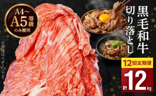 S001-001-T12_04_【定期便12回】黒毛和牛 切り落とし1kg（500g×2P）12か月連続お届け【2026年4月発送開始】