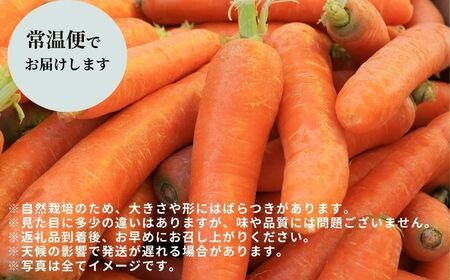 人参 10kg 人参