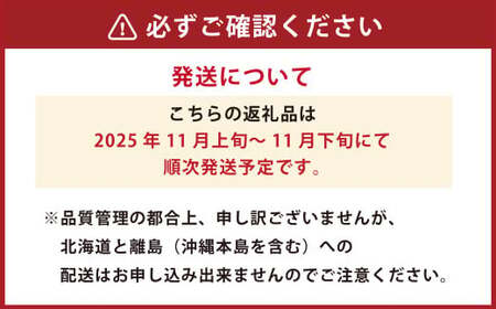 博多甘うぃ（キウイフルーツ） 約3.6kg キウイ きうい フルーツ 果物 くだもの 果実 国産 【2025年11月上旬～11月下旬発送予定】