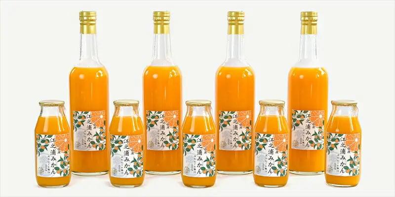 【定期便 9回】小田原産江之浦みかん１００％ストレートジュース５００ml６本【みかんジュース みかんジュース 神奈川県 小田原市 】