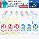 【ふるさと納税】＜お中元 ギフト＞ニテコサイダーミックス 300ml×24本セット 2種（ニテコサイダー12本、りんごサイダー12本）あきた美郷づくり