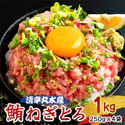 ふるさと納税 君津市 清幸丸水産　鮪ねぎとろ1000g