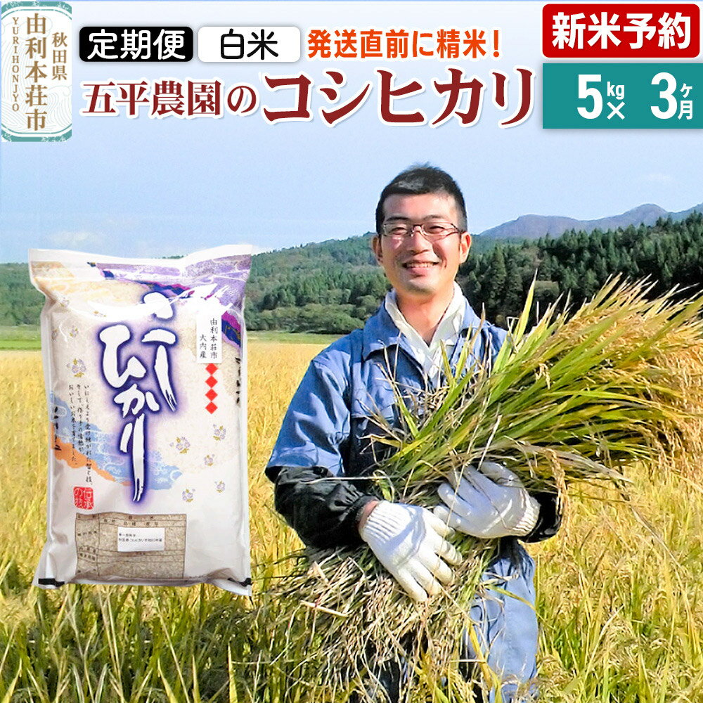 【ふるさと納税】《新米予約》《定期便3ヶ月》【白米】コシヒカリ 令和7年産 秋田県産 五平農園のコシヒカリ 5kg