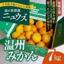 【ふるさと納税】【先行予約受付中】産地直送！愛媛県産温州みかん 7kg　※2024年11月上旬～12月下旬頃に順次発送予定　≪柑橘 みかん ギフト≫