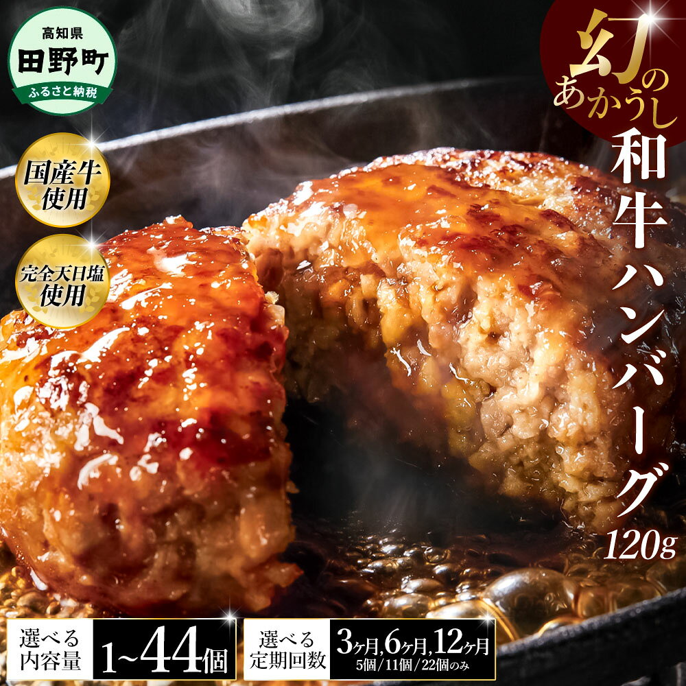 【ふるさと納税】幻のあかうし和牛ハンバーグ 選べる個数・定期便 1~44個 3~12ヶ月 田野屋青蜂 白鯆 完全天日塩練り込み 肉 お肉 国産牛 土佐あかうし 四万十ポーク おかず 惣菜 おいしい お取り寄せ 冷凍 配送 高知県 田野町 ふるさとのうぜい 故郷納税 返礼品